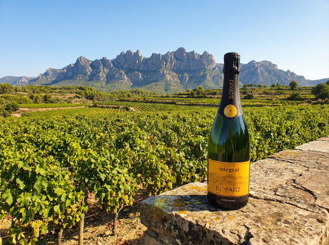 Botella de Llopart Corpinnat con las montañas de Montserrat al fondo.