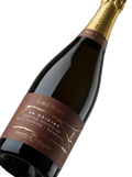 Primer plano de la etiqueta del cava Giró Ribot Ab Origine Brut Nature Reserva, D.O. Cava.