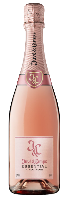 Cava Brut Rosé Juvé & Camps Ecológico 100% Pinot Noir D.O. Cava Penedès