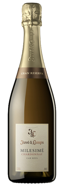Cava Espumoso Juvé & Camps Milésimé Chardonnay Gran Reserva Ecológico D.O. Cava