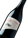 Primer plano de la etiqueta del vino tinto Carracedo, D.O. Bierzo.