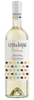 Vino Blanco Coto de Hayas Chardonnay Joven D.O. Campo de Borja Bodegas Aragonesas