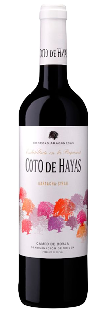 Vino Tinto Coto de Hayas Joven D.O. Campo de Borja uvas Garnacha y Syrah