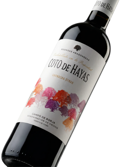 Primer plano de la etiqueta del vino tinto Coto de Hayas Joven, D.O. Campo de Borja.