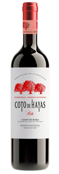 Vino Tinto Coto de Hayas Roble D.O. Campo de Borja Tempranillo y Cabernet Sauvignon