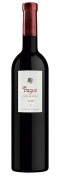 Vino Tinto Fagus Coto de Hayas Crianza 100% Garnacha D.O. Campo de Borja