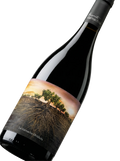 Primer plano de la etiqueta del vino tinto La Garnacha Olvidada de Aragón, D.O. Calatayud.