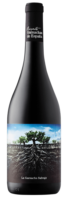 Vino Tinto La Garnacha Salvaje del Moncayo Vegano D.O. Ribera del Queiles Roble