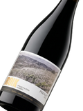 Primer plano de la botella de vino tinto AJV Iroik.
