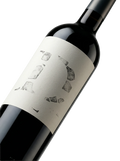 Primer plano de la botella de vino tinto Altavins Domus Pensi.