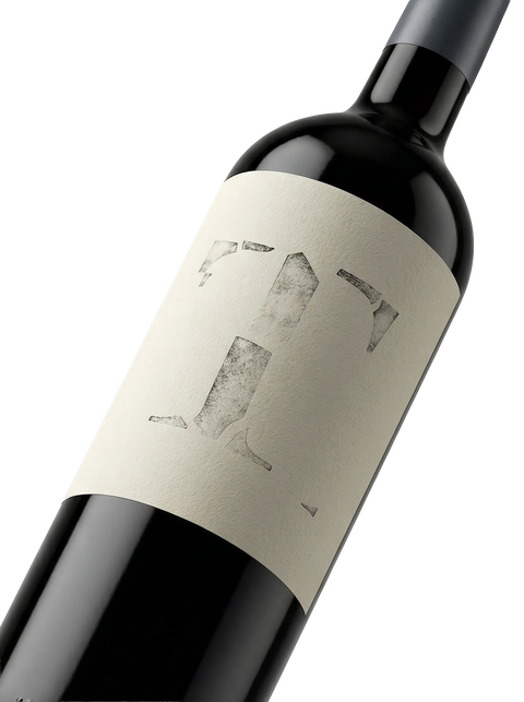 Primer plano de la botella de vino tinto Tempus.